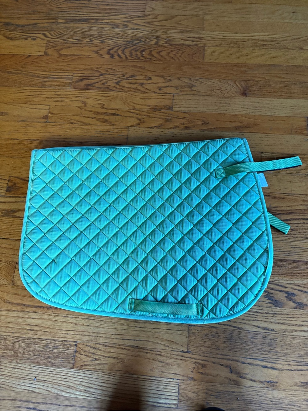 Aqua Quilted Saddle Pad